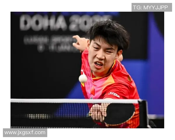 武汉乒乓球队的阵地战揭秘与深度分析乒乓球运动的魅力与挑战