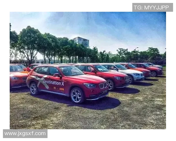 深圳极限运动队的个人能力分析与发展探索之路