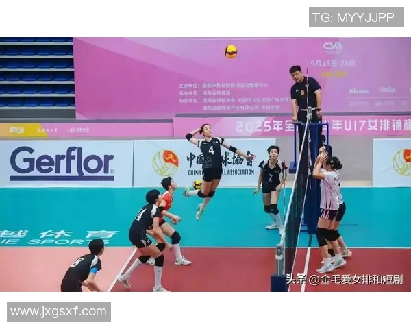 重庆排球队的力量与激情：聚焦排球运动的崛起与发展