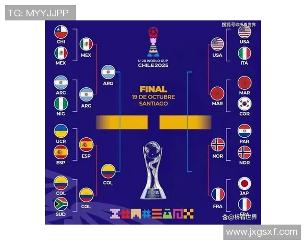 2006年世界杯小组赛阿根廷对阵波黑精彩回顾与战术分析